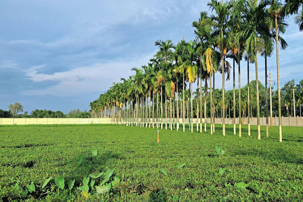 India 2026 Green Hydrogen Strategy for Hard-to-Abate Industry and Net Zero