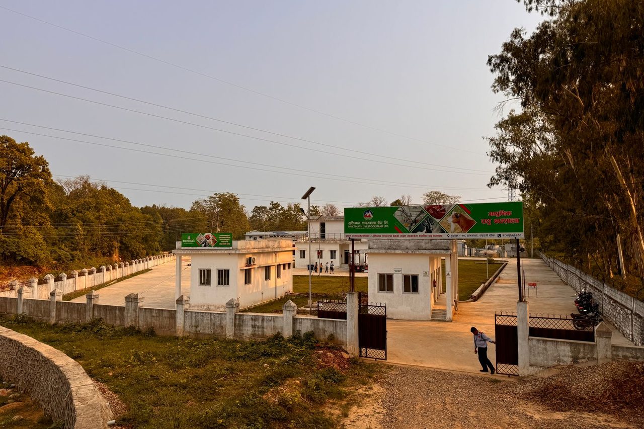 India Solar+BESS Block Sizing 2026: DC Coupling, PCS, HT and EPC Risk Guide