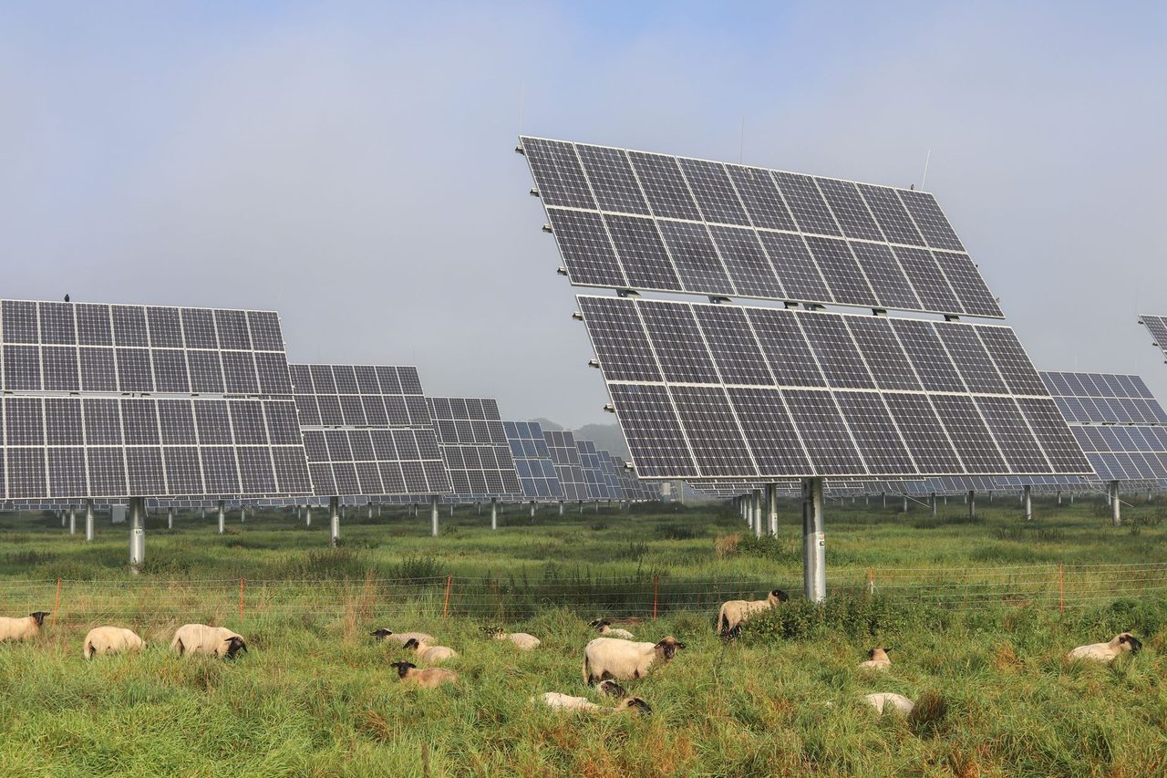 India Solar Plant Earthing & Lightning Design 2026: EPC, Safety and Insurance Guide