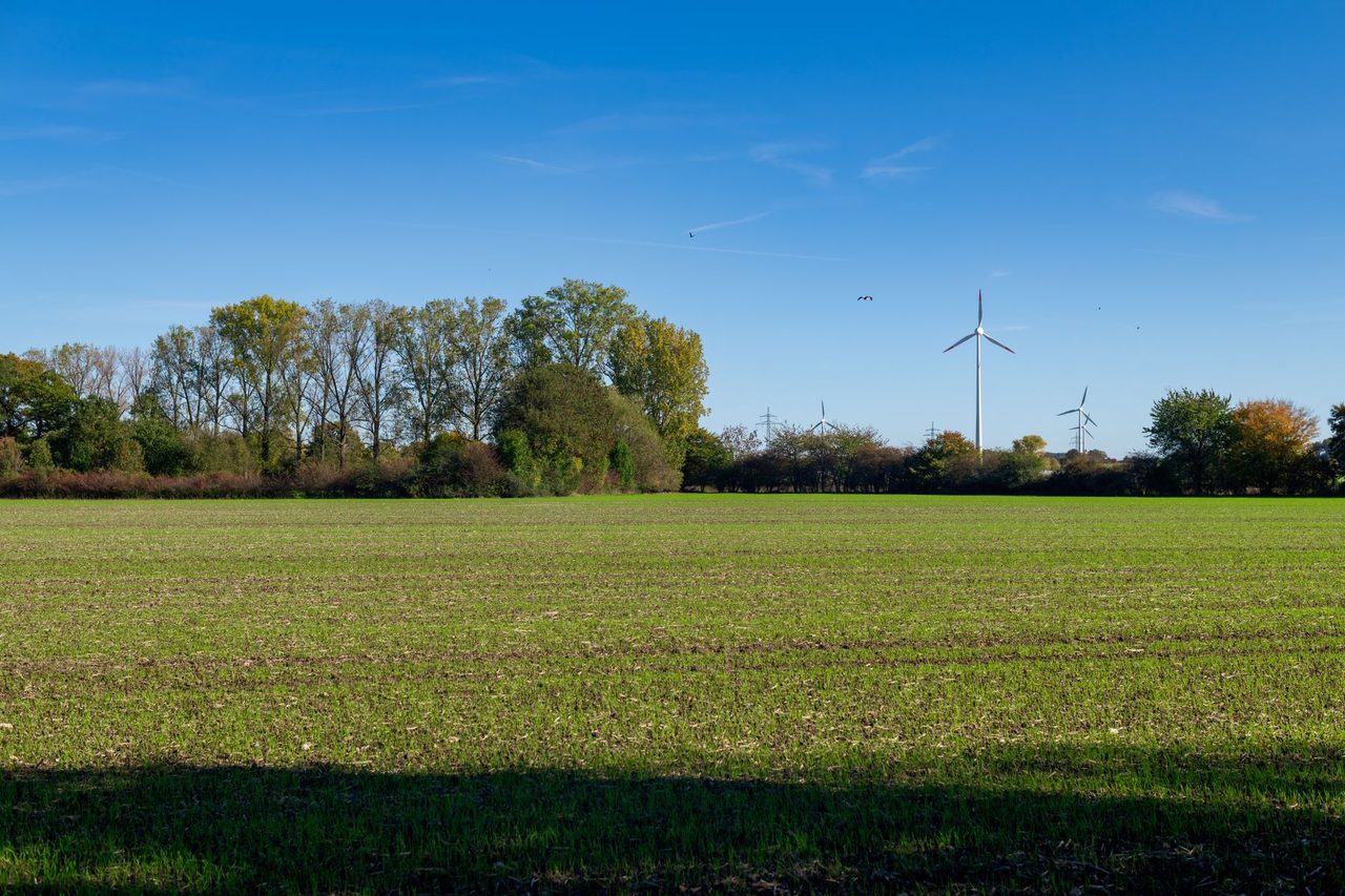Open Access PPA Curtailment Risk in India 2026: Charges, Compensation and Strategy